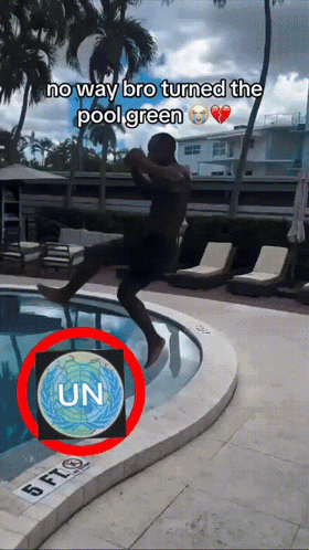 Pool Green Green Pool GIF