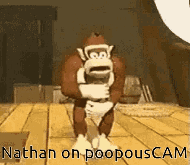 Poopouscam Nathan GIF
