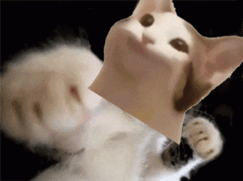Popcat Pop Pop GIF