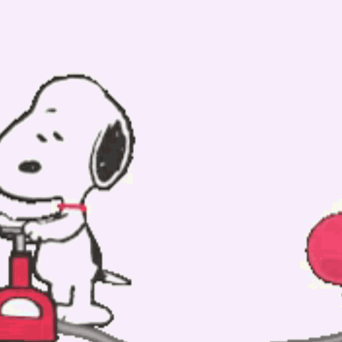 Popcat Popcatsolana GIF