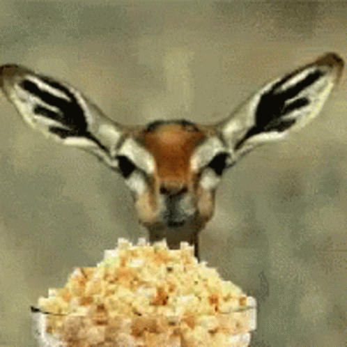 Popcorn GIF