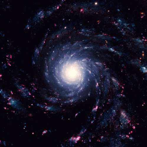 Portal GIF