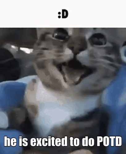 Potd GIF