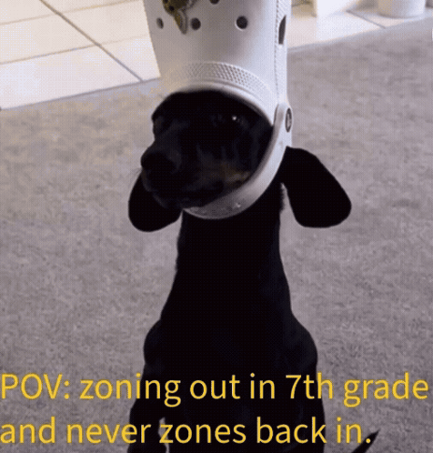 Pov 7thgrade Zoning Dogwithcroc Funny GIF
