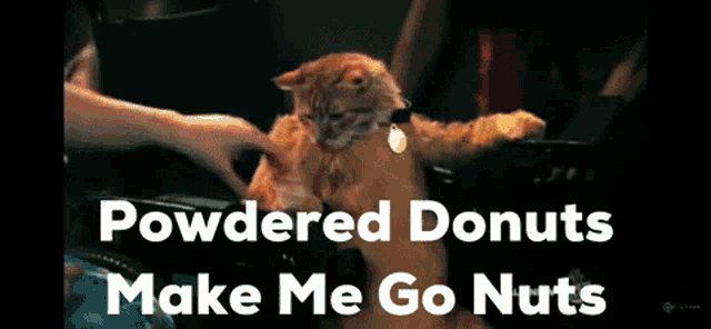 Powdereddonuts Makemegonuts GIF