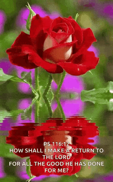 Praying Bless GIF