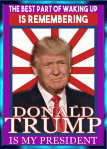 President Trump America GIF