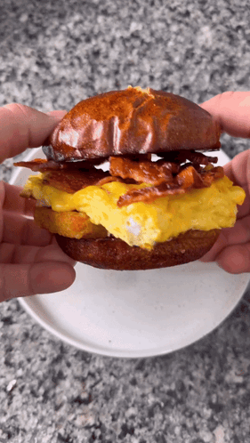 Pretzel Bun Breakfast Sandwich Breakfast GIF