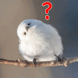 Primavera Simaenaga GIF