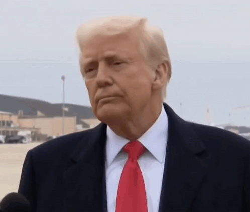 Puddingtastesbetter 4547 GIF