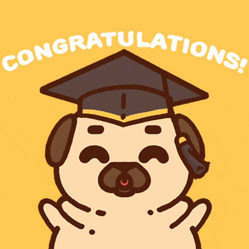 Puglie Pugs GIF