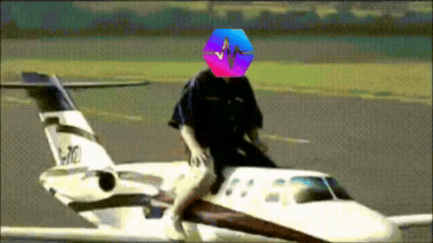 Pulsechain To The Moon GIF