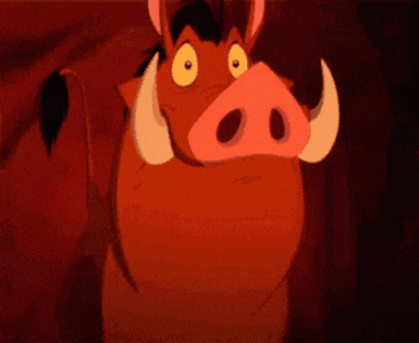 Pumbaa Shocked GIF