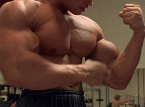 Pumping Iron Arnold Schwarzenegger GIF