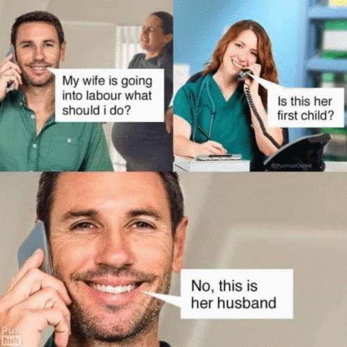 Pun Funny GIF