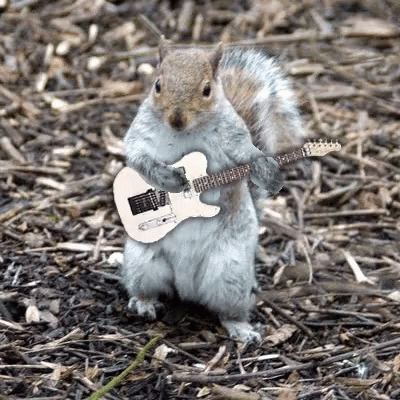 Punkrobot Ardilla GIF