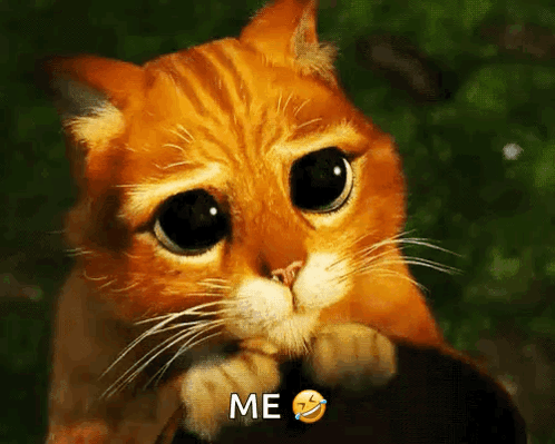Puppy Dog Eyes Sad GIF