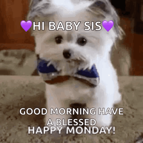 Puppy High GIF