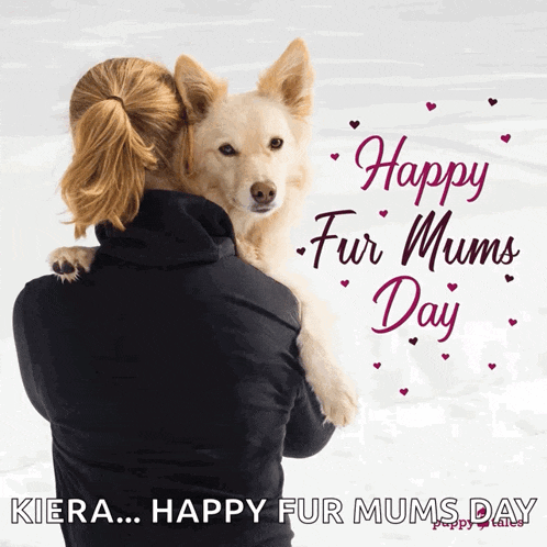 Puppytalesphotos Puppytales GIF
