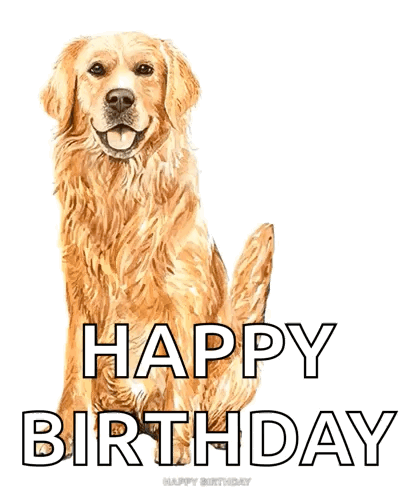Puppytalesphotos Puppytales GIF