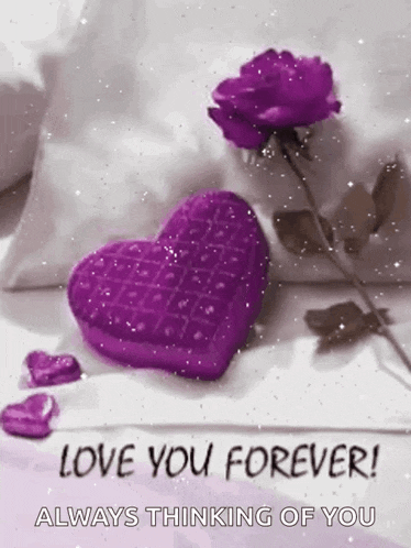 Purplerose Love GIF
