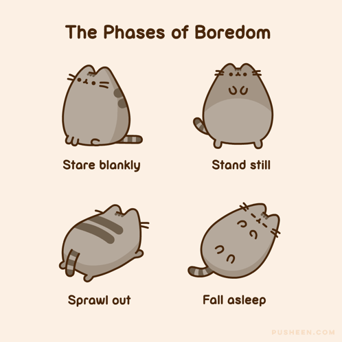Pusheen Pusheen'S Best Friend GIF