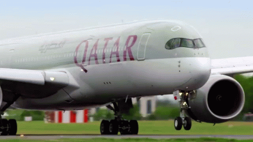 Qatar Qatarairways GIF