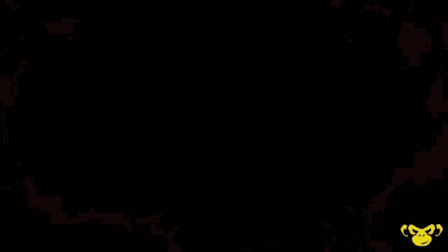 Qld Maroons GIF