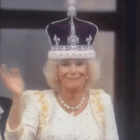 Queen Queen Camilla GIF