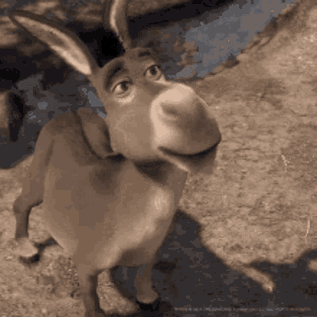 R4ymo GIF