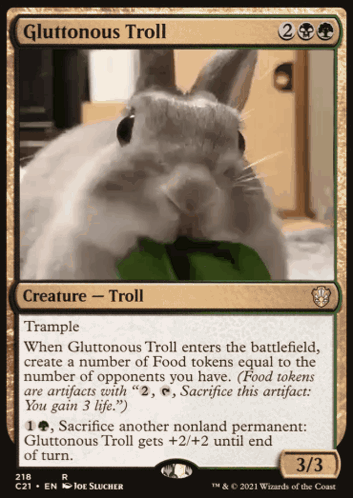 Rabbit Bunny GIF