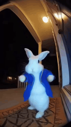 Rabbit Clock Clock Rabbit GIF