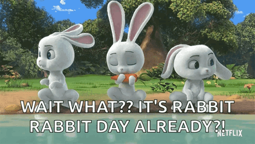 Rabbit Eating Out GIF