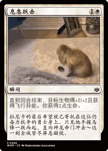 Rabbit Magic The Gathering GIF