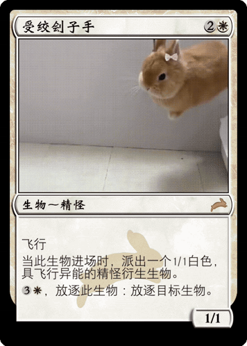 Rabbit Magic The Gathering GIF