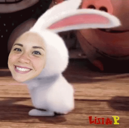 Rabbit Shake It GIF