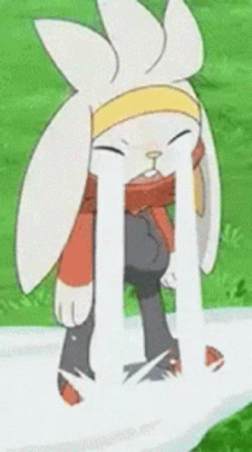 Raboot Pokémon Pokemon GIF