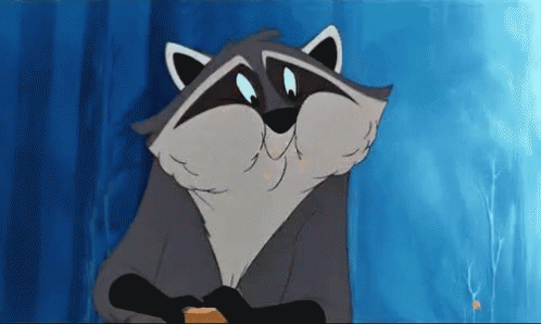 Raccoon Pocahontas GIF