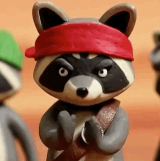 Raccoon Raccoons GIF