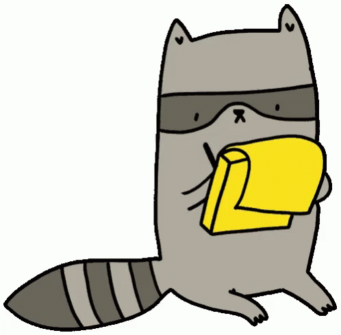 Raccoon Writing GIF