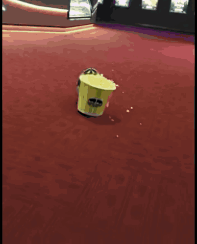 Racoon Popcorn GIF