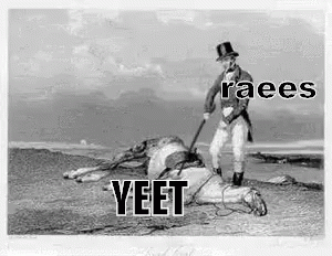 Raees Yeet GIF