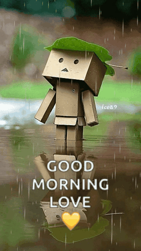 Rain Raining GIF