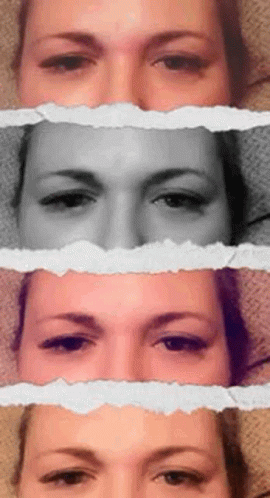 Raiseeyebrow Eyebrows GIF