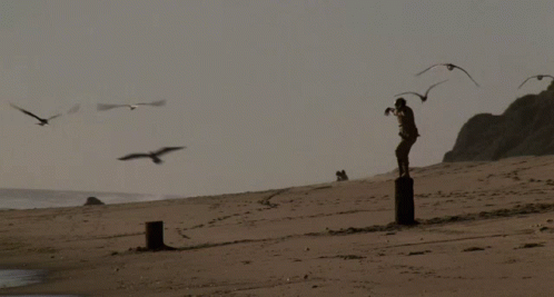Ralph Macchio Daniel Larusso GIF