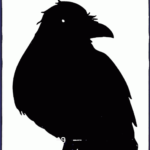 Raven Crow GIF