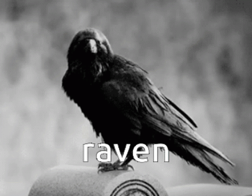 Raven GIF