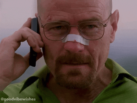 Reaction Celebration GIF