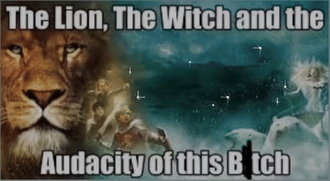 Reaction Meme The Lion The Witch And The Wardrobe GIF