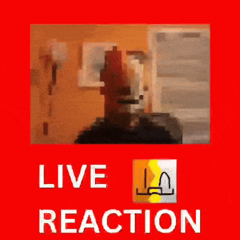 Reaction My Honest Reaction GIF